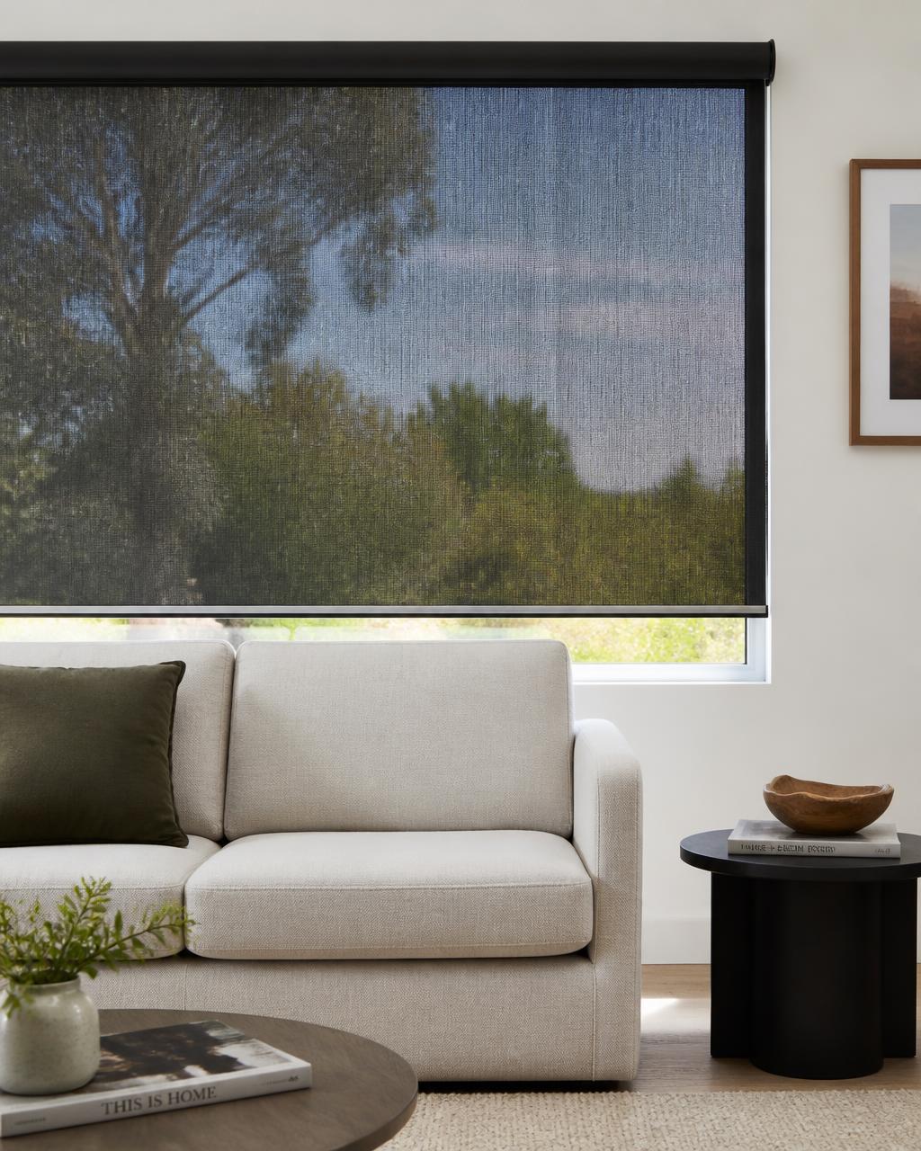 Sunscreen roller blind lowered in a bright living room with the outside view still visible